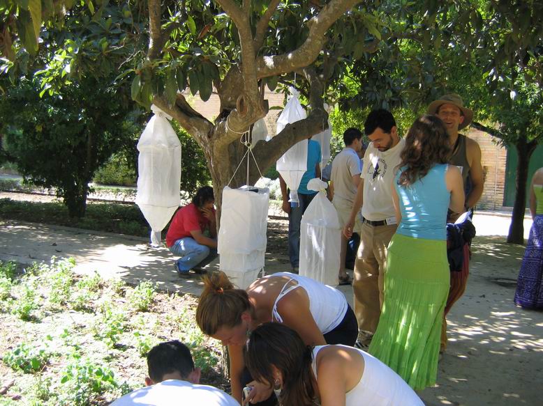 Redimensionamiento de IMG 3174